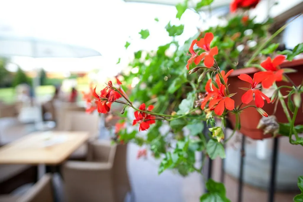 Hotel Rezydencja Solei Posen